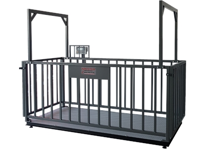 CHB-4L 120X240 cm (3000 Kg) Canlı Hayvan Baskülü - 1