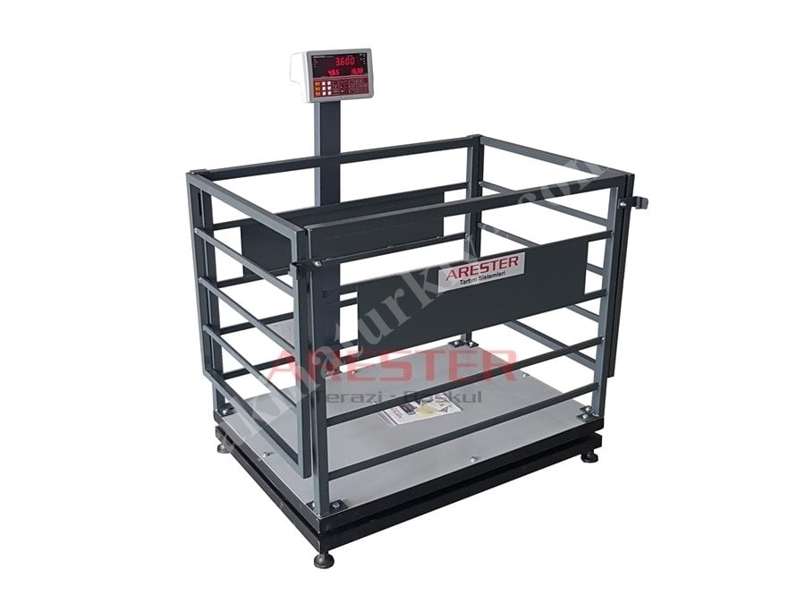 CHB 70X100 cm (600 Kg) Küçük Baş Canlı Hayvan Baskülü