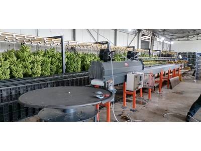 Modüler Bant Sistemli Meyve Sebze Kurutma Fırını - 2