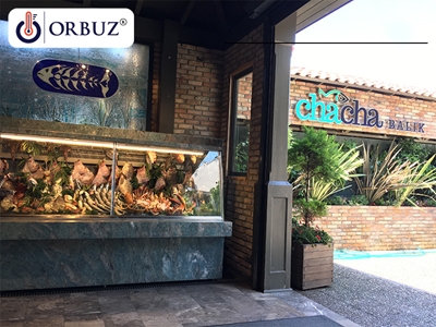 Single-phase Chaca Fish Display Cabinet - 1