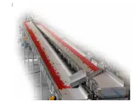 Ring line For Hard Candy or Soft Candy Products