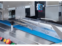 DP-250 RL Inline Feed Fully Automatic Conveyor Reverse Horizontal Packaging Machine - 2