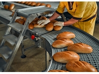 Modular Belted Food Machine Conveyor - 0