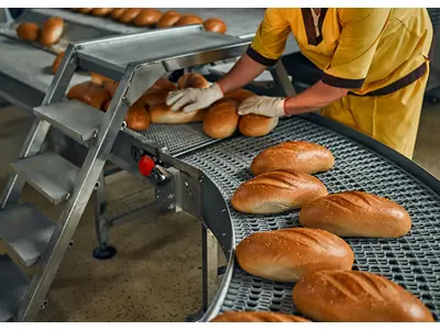 Modular Belted Food Machine Conveyor