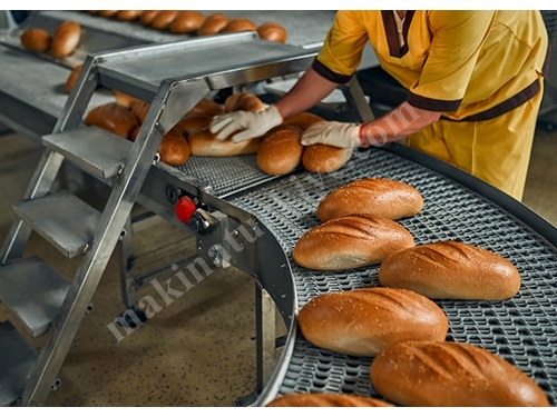 Modular Belted Food Machine Conveyor