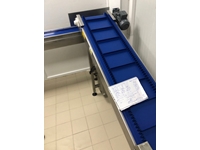 Stainless Steel Food Machinery Conveyor