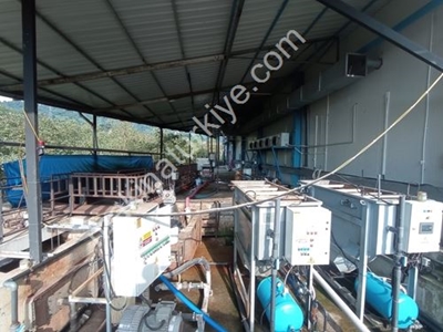 Daf Water Treatment System - 0