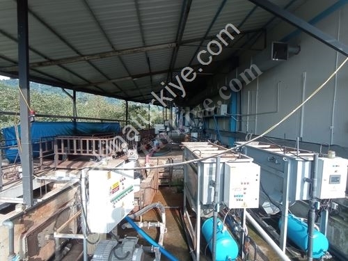 Daf Water Treatment System