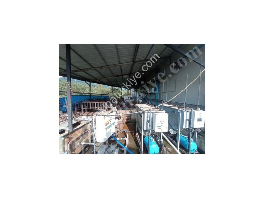 Daf Water Treatment System