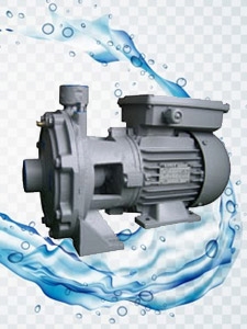 2 hp Monofaze Monoblok Pompa