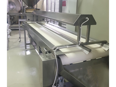 1000 Kg / Saat Kuruyemiş Seçme Bandı