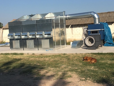 6 Ton Walnut Drying Machine - 3