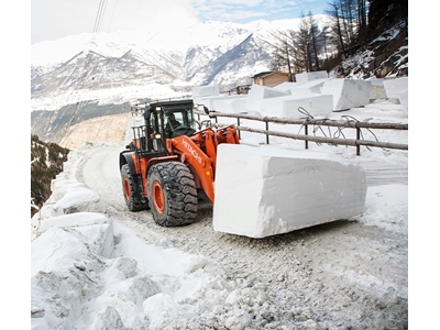 Chargeuse-pelleteuse sur pneus de 53 310 kg - 6