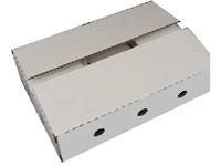 50 Box/Min Display Box Tray Shaping und Verpackungsmaschine - 8