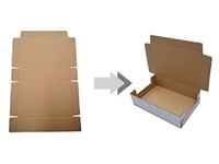 50 Box/Min Display Box Tray Shaping und Verpackungsmaschine - 7