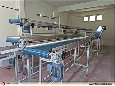 Carrier Conveyor Systems and Lines