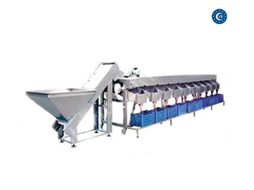 1000 - 5000 kg / Stunde Olivenkirschgewindete Kalibrierungsmaschine