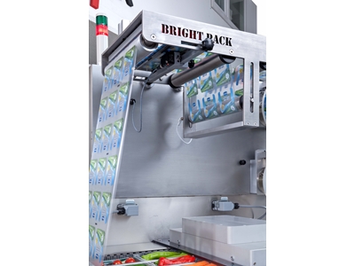 5-7 Strokes/Minute Thermoforming Packaging Machine - 5