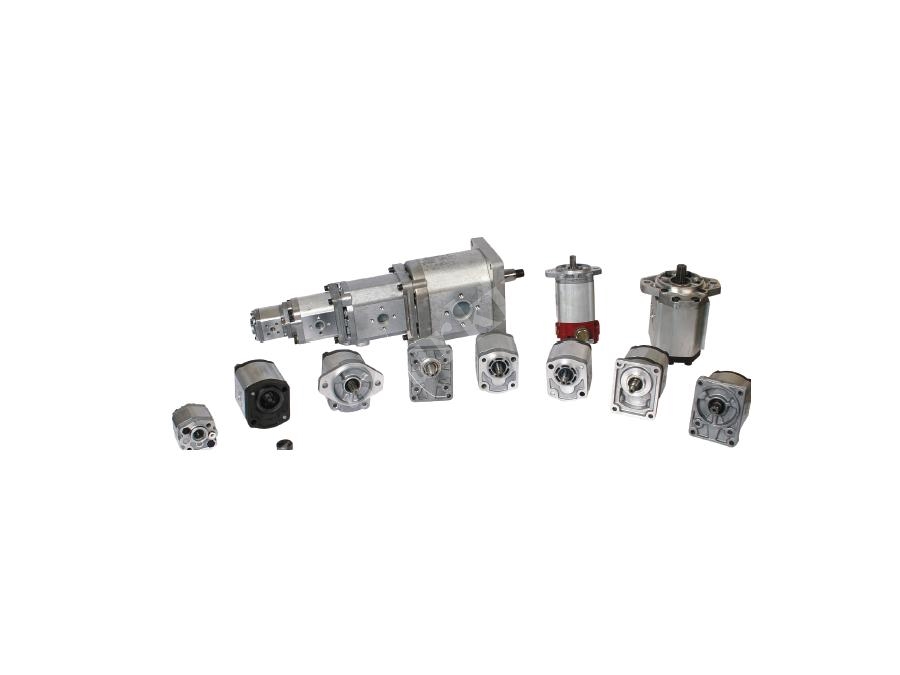1-200 cm³ Hydraulikzahnpumpe