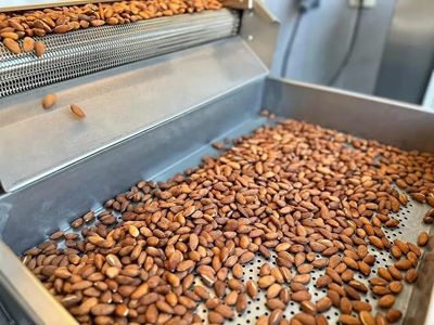 30-50 kg/ h Nuts Roasting Machine  - 5