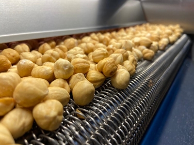 30-50 kg/ h Nuts Roasting Machine  - 4