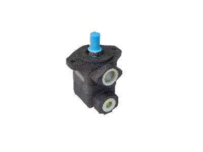140-175 Bar Fixed Displacement Vane Vacuum Pump - 0
