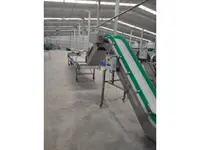 Machine d'épluchage des tiges d'olives de 1500-2000 kg/h