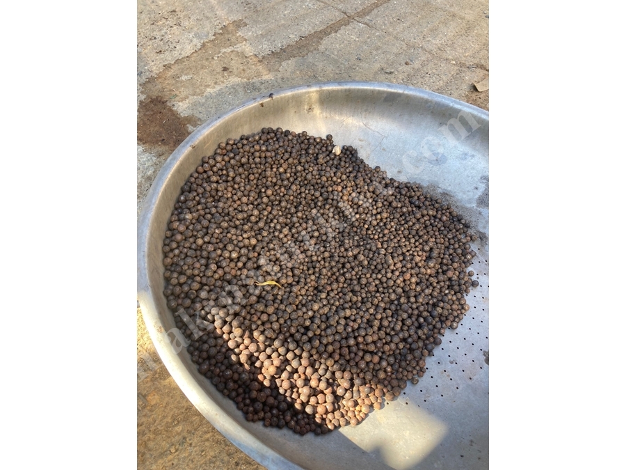 170 Litre Bilyalı Çikolata Hazırlama Mikseri