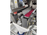 10-250 Gr Double Wing Balance Filling Packaging Machine - 1