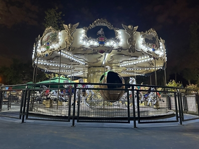 12-Person Carousel - 1