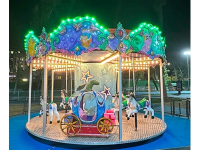 12-Person Carousel - 0