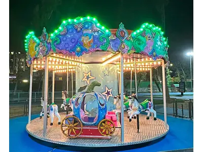 12-Person Carousel