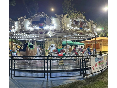 12-Person Carousel - 2