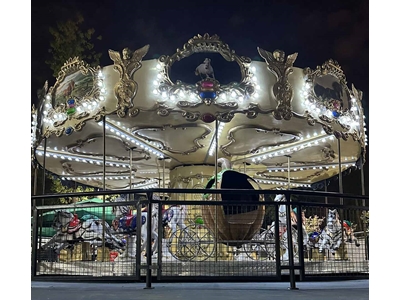 12-Person Carousel - 3