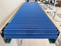 Production Modules with Stainless Steel and Aluminum Frames Belt Conveyor Systems - 0