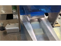 Mouse Poison Reversing Conveyor Packaging Machine - 1