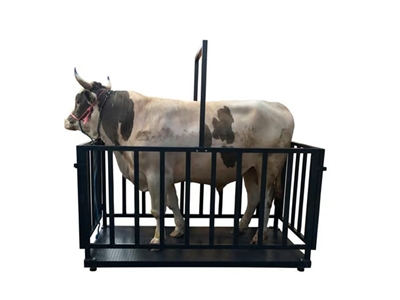 3000 Kg (100x200 cm) Canlı Hayvan Baskülü - 0