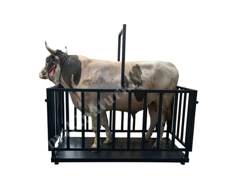 3000 Kg (100x200 cm) Canlı Hayvan Baskülü