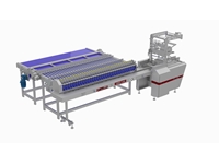 Owet 1000-Af Overwrapping Packaging Machine With Automatic Product Feeding For Rice Cakes,Biscuit - 0