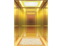 Luxury FJ-JXA81 Passenger Elevator - 0