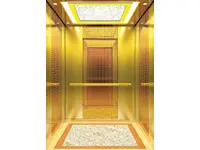 Luxury FJ-JXA81 Passenger Elevator
