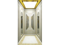 Villa Elevator FJ-V05 İnsan Asansörü - 0