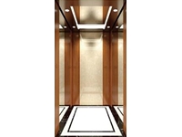 Villa Elevator FJ-V06 İnsan Asansörü - 0