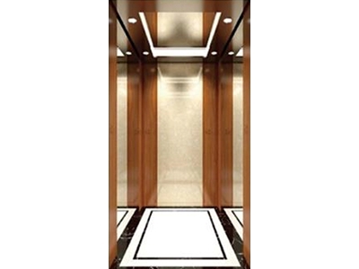 Villa Elevator FJ-V06 İnsan Asansörü