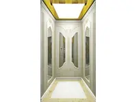 Лифт для виллы Fj-V05 Человеческий лифт