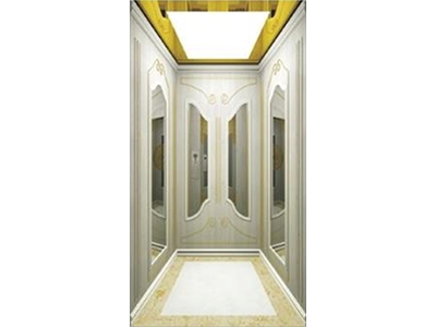 Villa Elevator Fj-V05 Human Elevator - 0