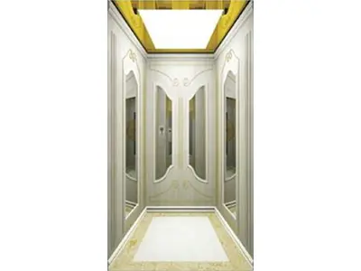 Villa Elevator Fj-V05 Human Elevator