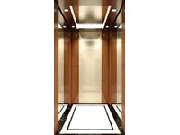 Villa Elevator FJ-V06 Human Elevator