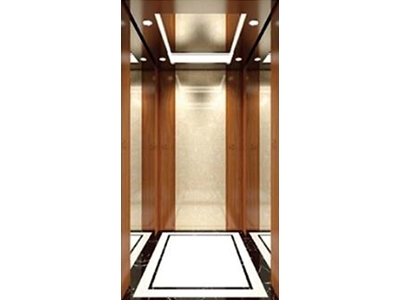 Villa Aufzug FJ-V06 Personenaufzug - 0