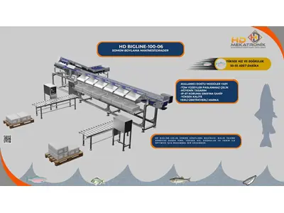 Машина для разделения и измерения замороженной рыбы Bigline-100-06